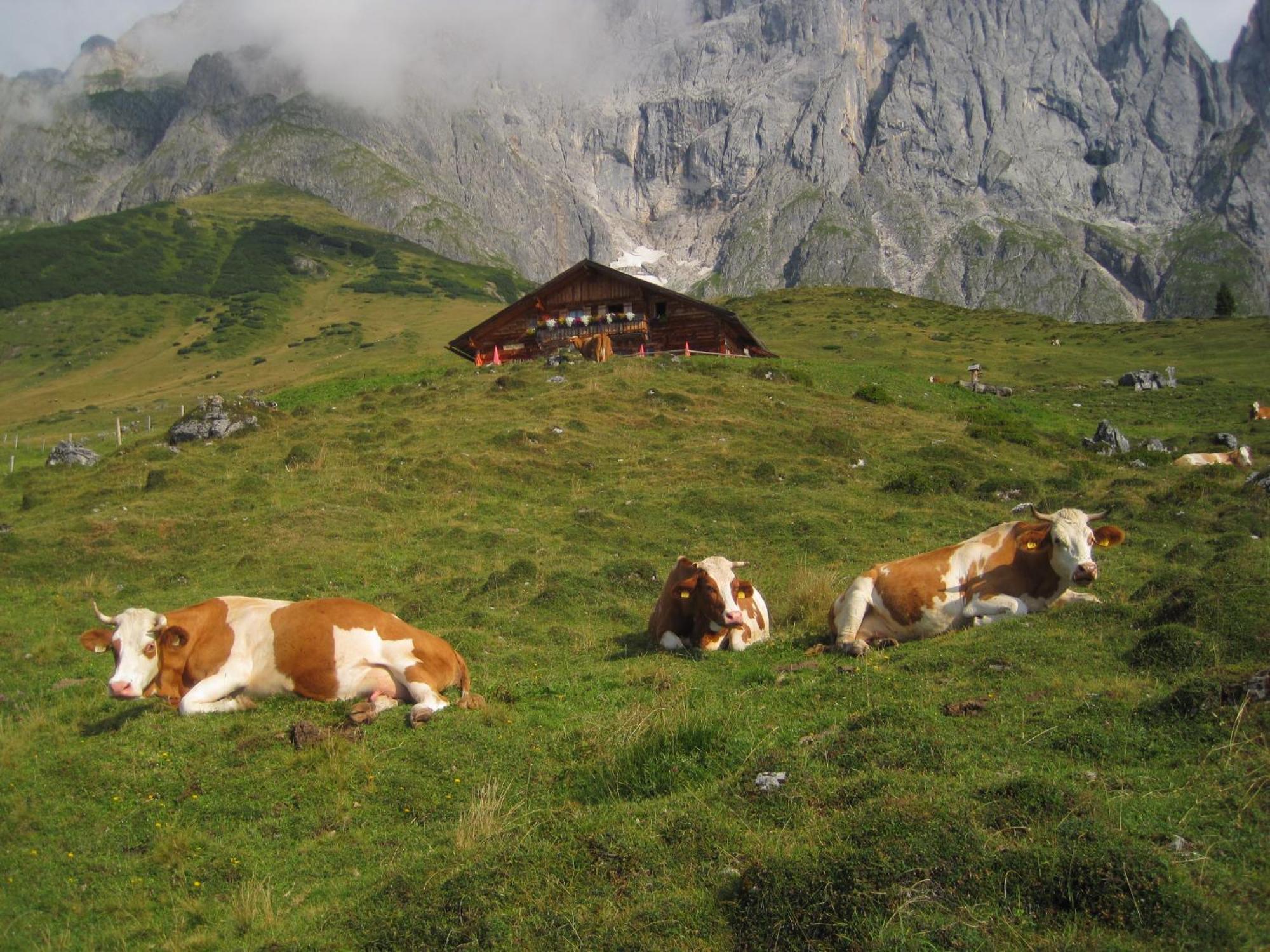 Ferienwohnung Molteraugut Mühlbach am Hochkönig Exterior foto